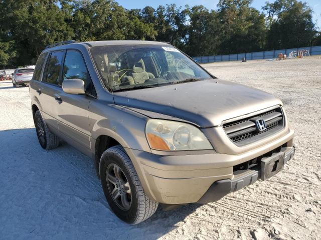 HONDA PILOT EX 2005 with VIN 5FNYF18415B019311 - Photo from auction