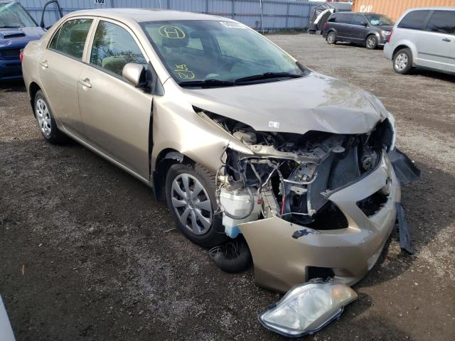 TOYOTA COROLLA BA 2010 with VIN 2T1BU4EE9AC264575 - Photo from auction