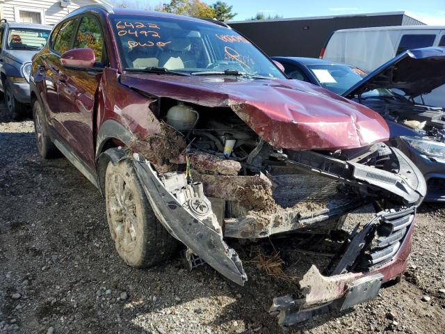 HYUNDAI TUCSON LIM 2017 with VIN KM8J3CA48HU455659 - Photo from auction