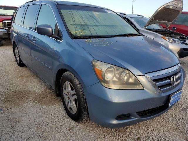 HONDA ODYSSEY 2005 with VIN 5FNRL38665B066005 - Photo from auction