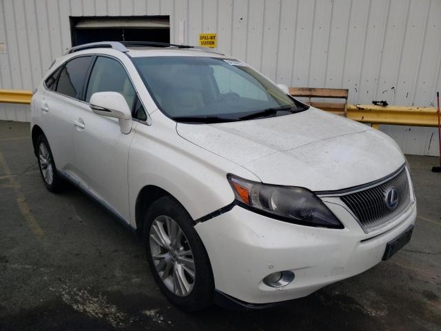 LEXUS RX 450 2011 with VIN JTJBC1BA8B2036745 - Photo from auction