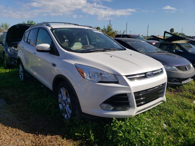 FORD ESCAPE TIT 2014 with VIN 1FMCU0J95EUD65073 - Photo from auction