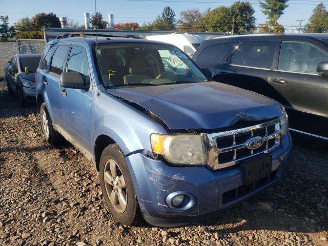 FORD ESCAPE XLT 2009 with VIN 1FMCU93G69KA79461 - Photo from auction