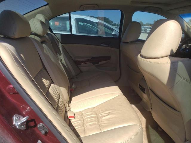 Photo 10 from auction – 2010 HONDA ACCORD EXL with VIN 1HGCP2F8XAA005155