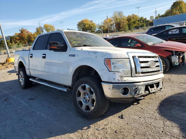 Photo 1 from auction – 2010 FORD F150 SUPER with VIN 1FTFW1EV4AFD50622