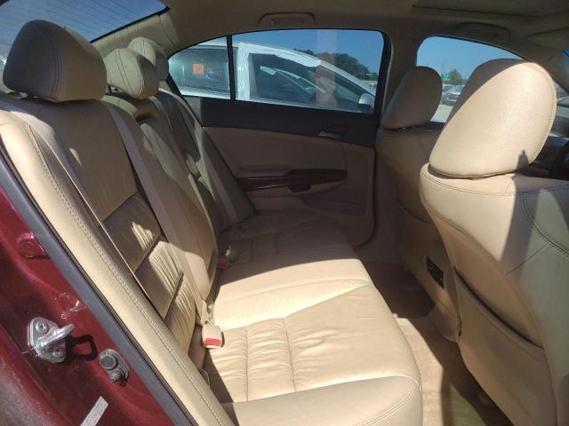 Photo 6 from auction – 2010 HONDA ACCORD EXL with VIN 1HGCP2F8XAA005155