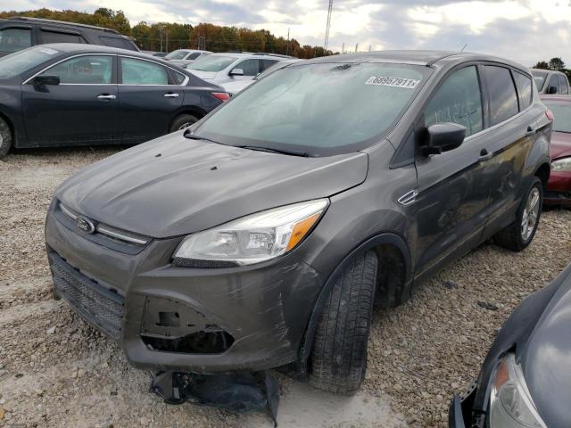 Photo 2 from auction – 2014 FORD ESCAPE SE with VIN 1FMCU0GX3EUC01617
