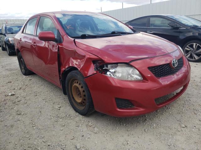 TOYOTA COROLLA 2010 with VIN 2T1BU4EE7AC246074 - Photo from auction