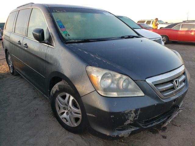 Photo 1 from auction – 2005 HONDA ODYSSEY EX with VIN 5FNRL38755B016107