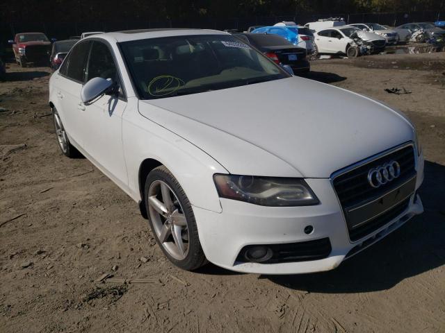 AUDI A4 PREMIUM 2010 with VIN WAUEFAFL3AN036200 - Photo from auction