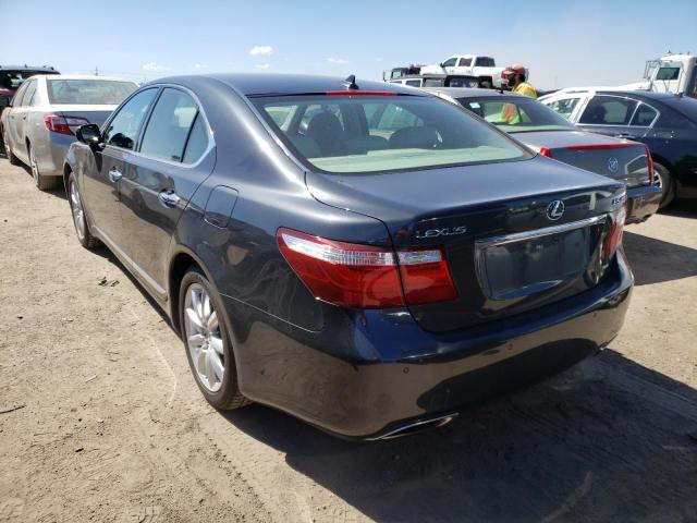 Photo 3 from auction – 2009 LEXUS LS 460 with VIN JTHCL46F695002860