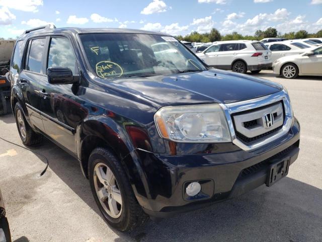 HONDA PILOT EXL 2011 with VIN 5FNYF4H59BB035309 - Photo from auction