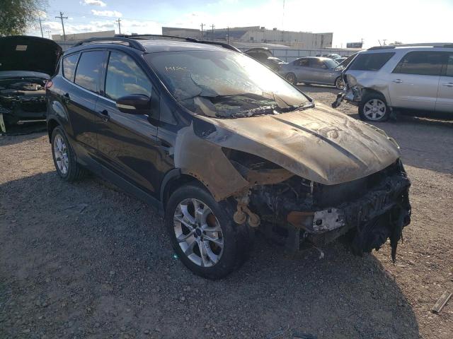 FORD ESCAPE SEL 2013 with VIN 1FMCU0HX7DUA52903 - Photo from auction