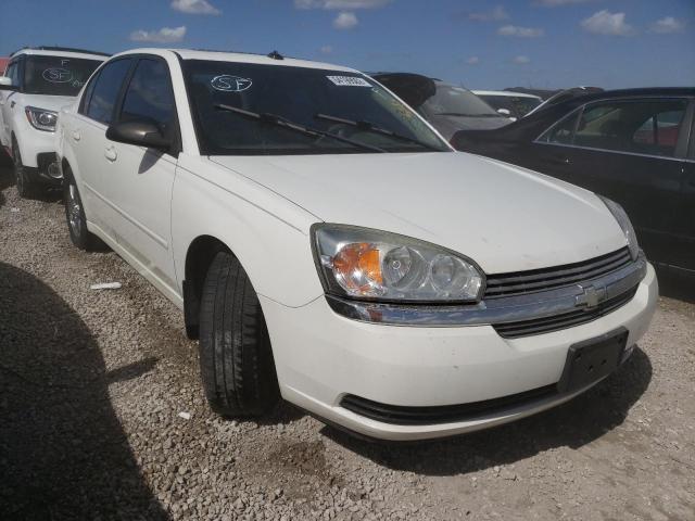 CHEVROLET MALIBU LS 2005 with VIN 1G1ZT54855F294147 - Photo from auction