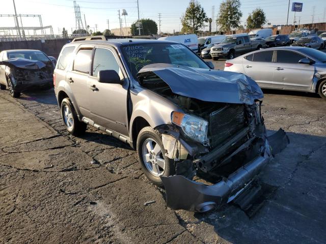 FORD ESCAPE XLT 2008 with VIN 1FMCU03Z08KD91724 - Photo from auction