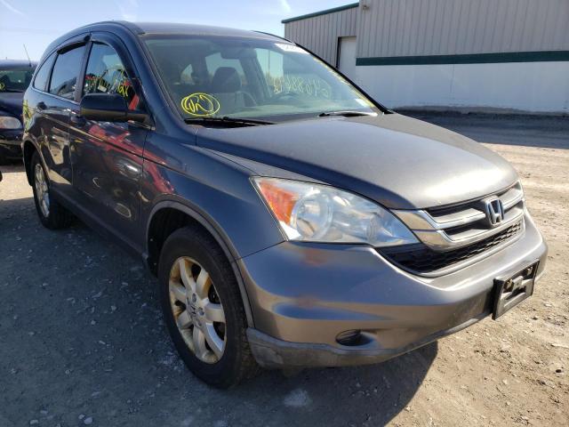 HONDA CR-V SE 2011 with VIN 5J6RE4H46BL066443 - Photo from auction