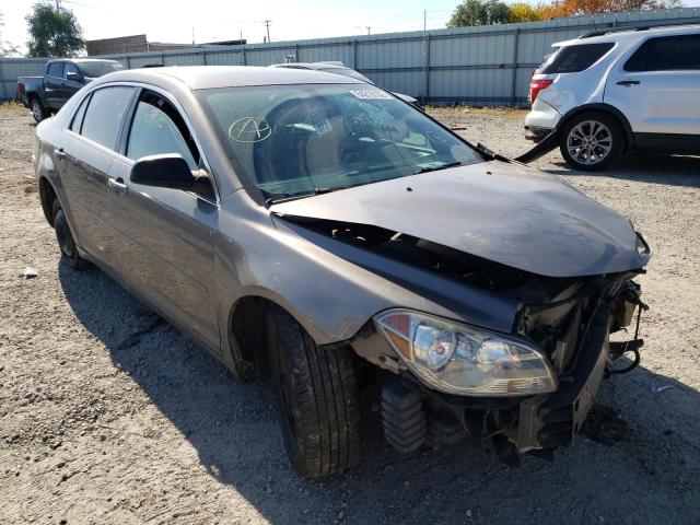 CHEVROLET MALIBU LS 2012 with VIN 1G1ZB5E04CF221828 - Photo from auction