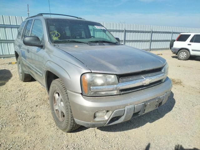 CHEVROLET TRAILBLAZE 2002 with VIN 1GNDT13S222129044 - Photo from auction