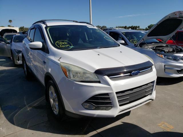 Photo 1 from auction – 2014 FORD ESCAPE SE with VIN 1FMCU0GX3EUC98303