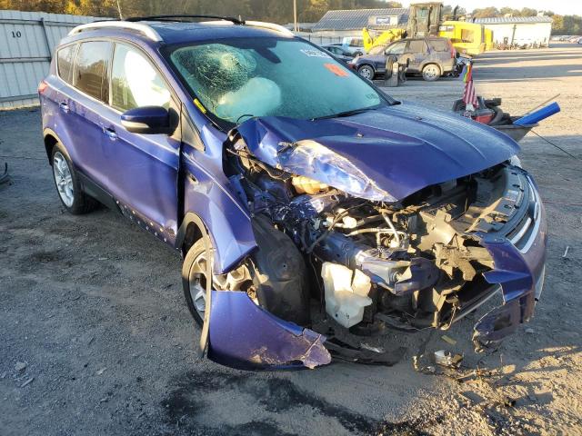 FORD ESCAPE TIT 2013 with VIN 1FMCU9J92DUB05698 - Photo from auction
