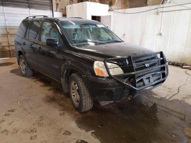 HONDA PILOT EXL 2005 with VIN 2HKYF18585H551469 - Photo from auction