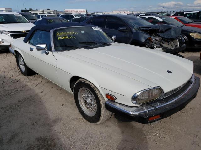 Photo 1 from auction – 1989 JAGUAR XJS with VIN SAJNL4847KC163629