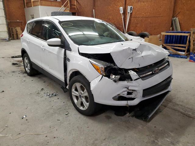 Photo 9 from auction – 2016 FORD ESCAPE SE with VIN 1FMCU9GX4GUB80817