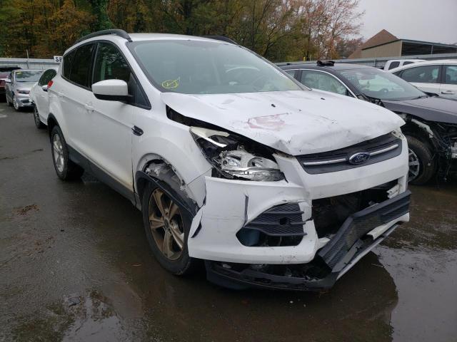 FORD ESCAPE SE 2014 with VIN 1FMCU9G97EUC41057 - Photo from auction