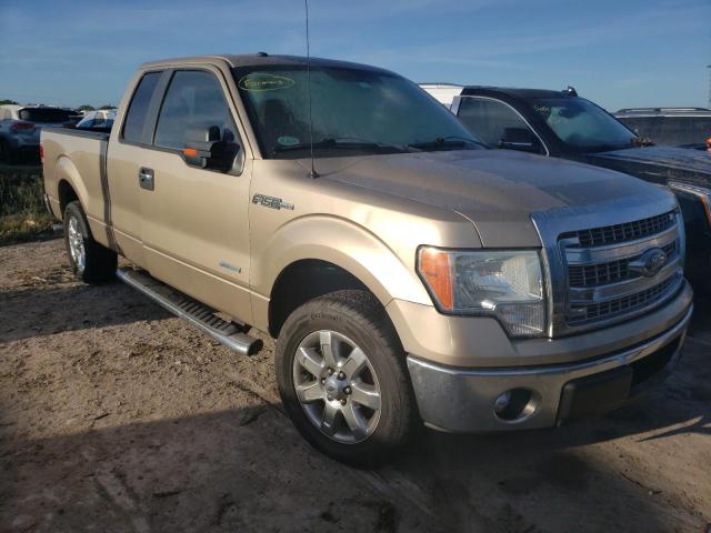 FORD F150 SUPER 2013 with VIN 1FTFX1CT6DFB42275 - Photo from auction