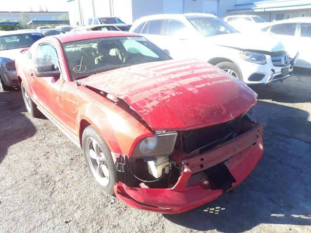 FORD MUSTANG 2005 with VIN 1ZVFT80N055239762 - Photo from auction
