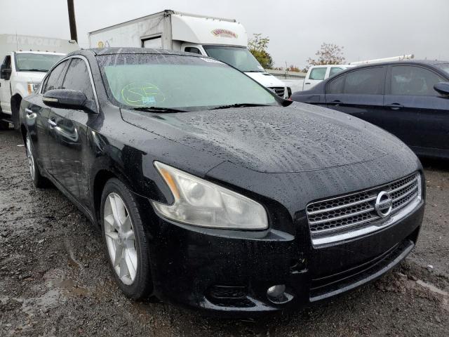 NISSAN MAXIMA S 2010 with VIN 1N4AA5AP1AC811645 - Photo from auction