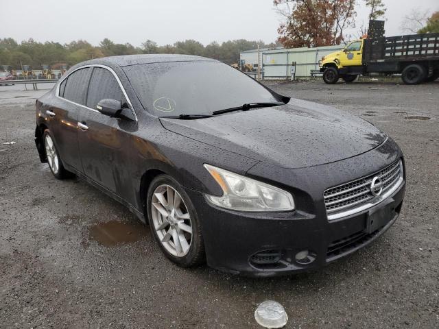 NISSAN MAXIMA S 2011 with VIN 1N4AA5AP8BC820652 - Photo from auction