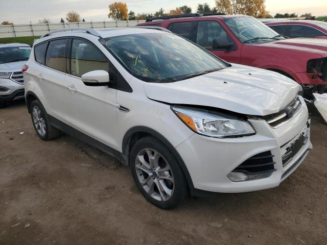 FORD ESCAPE TIT 2014 with VIN 1FMCU9J96EUE16679 - Photo from auction