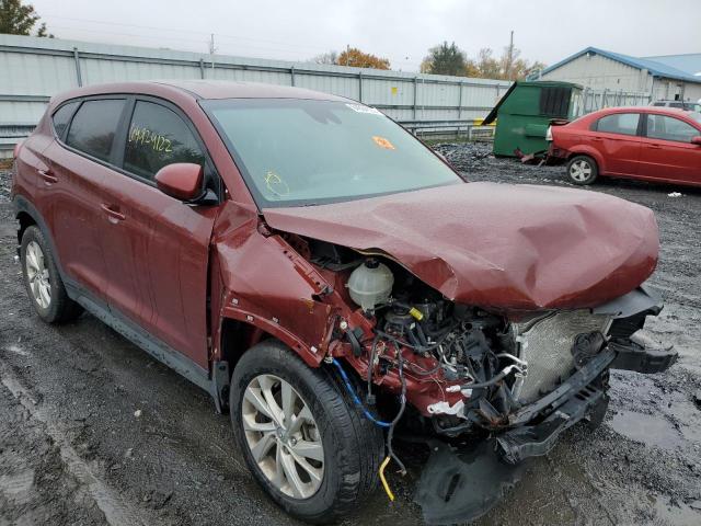 HYUNDAI TUCSON SE 2020 with VIN KM8J2CA44LU253669 - Photo from auction