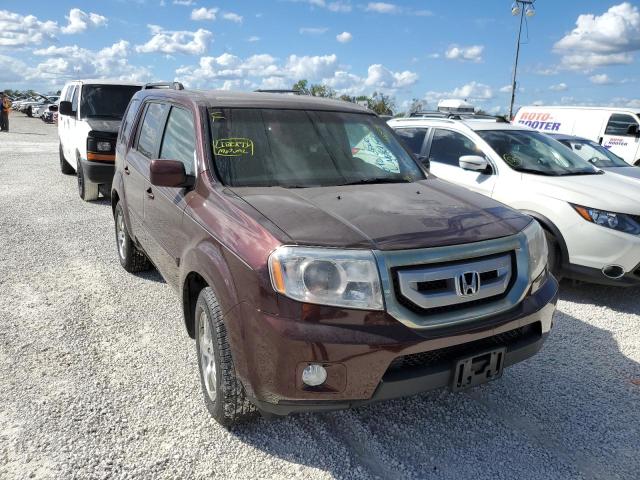 HONDA PILOT EX 2010 with VIN 5FNYF4H42AB023928 - Photo from auction