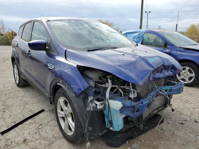 FORD ESCAPE SE 2014 with VIN 1FMCU0GXXEUC29043 - Photo from auction