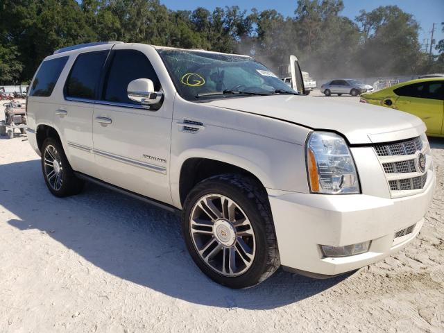 CADILLAC ESCALADE P 2012 with VIN 1GYS3CEF1CR291729 - Photo from auction