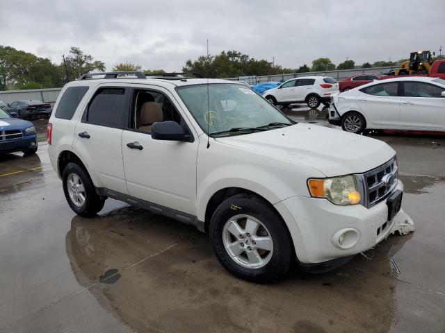 Photo 1 from auction – 2009 FORD ESCAPE XLT with VIN 1FMCU03799KA30170