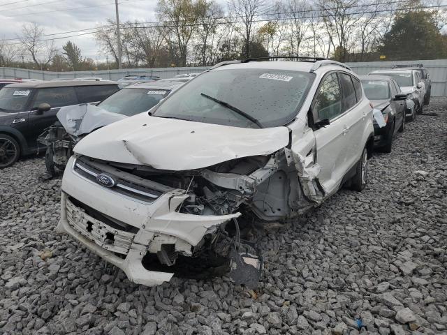 Photo 9 from auction – 2014 FORD ESCAPE TIT with VIN 1FMCU0J94EUC27623