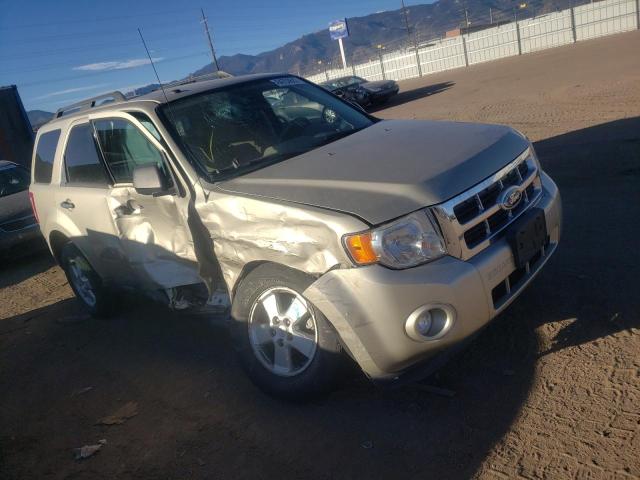 FORD ESCAPE XLT 2011 with VIN 1FMCU9DG2BKB13884 - Photo from auction