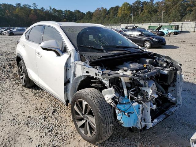 LEXUS NX 300 BAS 2019 with VIN JTJYARBZ4K2140265 - Photo from auction