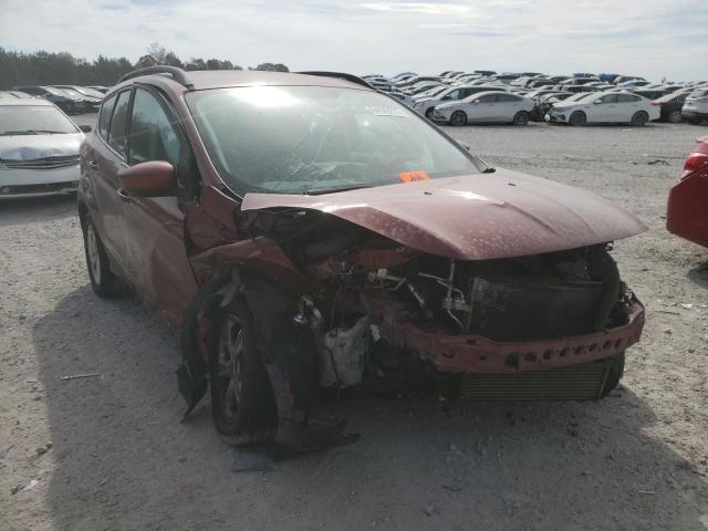 FORD ESCAPE SE 2014 with VIN 1FMCU0GX8EUB75936 - Photo from auction