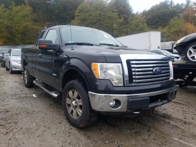 FORD F-150 2011 with VIN 1FTFX1ET8BFB60285 - Photo from auction