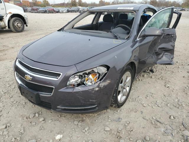 Photo 2 from auction – 2010 CHEVROLET MALIBU 1LT with VIN 1G1ZC5EB3AF314934