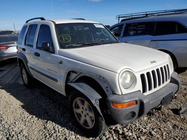 JEEP LIBERTY SP 2003 with VIN 1J4GL48K53W710137 - Photo from auction