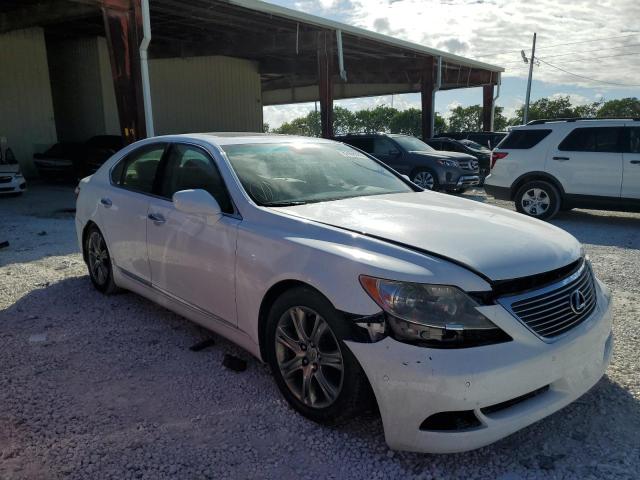LEXUS LS 460 2008 with VIN JTHBL46F485078300 - Photo from auction