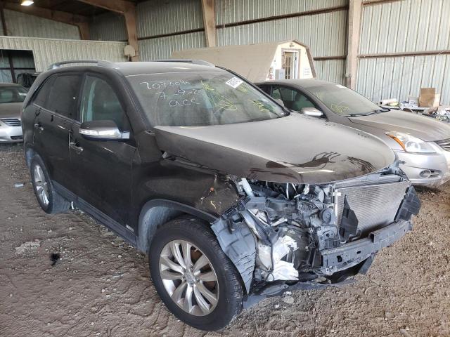 KIA SORENTO EX 2011 with VIN 5XYKUDA24BG161131 - Photo from auction