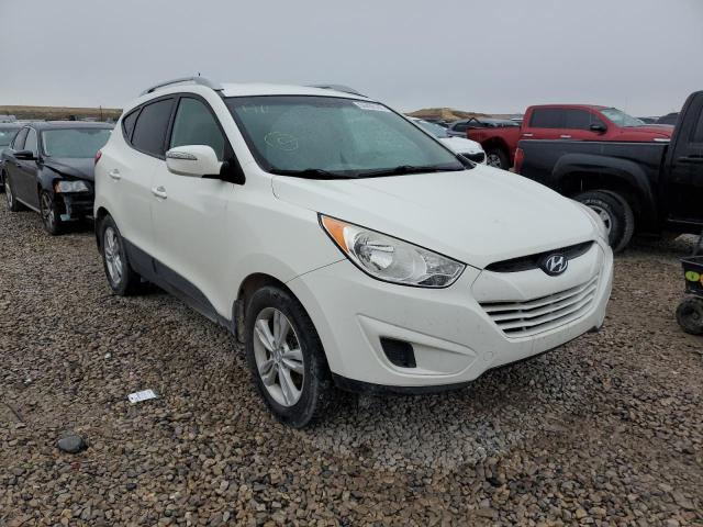 HYUNDAI TUCSON 2012 with VIN KM8JU3AC0CU409482 - Photo from auction