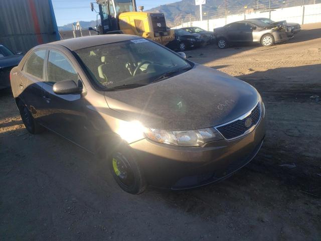 KIA FORTE EX 2013 with VIN KNAFU4A28D5647323 - Photo from auction