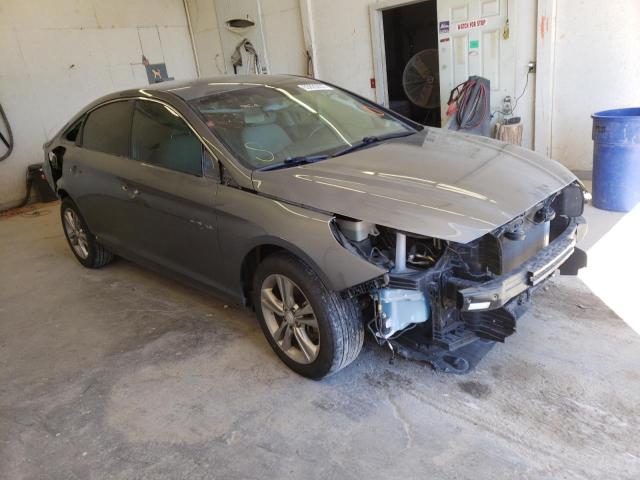 HYUNDAI SONATA LIM 2019 with VIN 5NPE34AF1KH780202 - Photo from auction